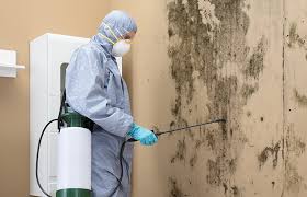 Best Mold Remediation for Healthcare Facilities  in Grant Park, IL